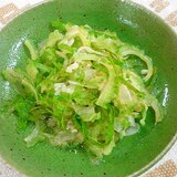 ゴーヤ・玉ねぎの中華風サラダ
